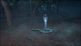 Sasural Simar Ka - 13th March 2023